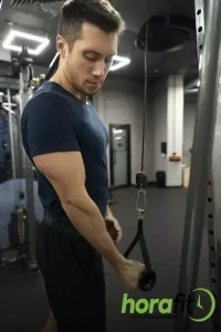 triceps corda